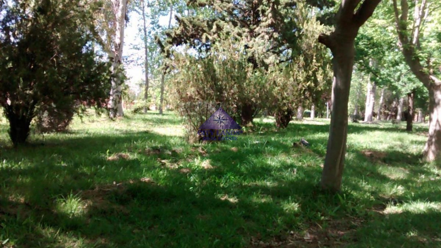 Lotes en venta en Club de Campo Maipu, Mendoza