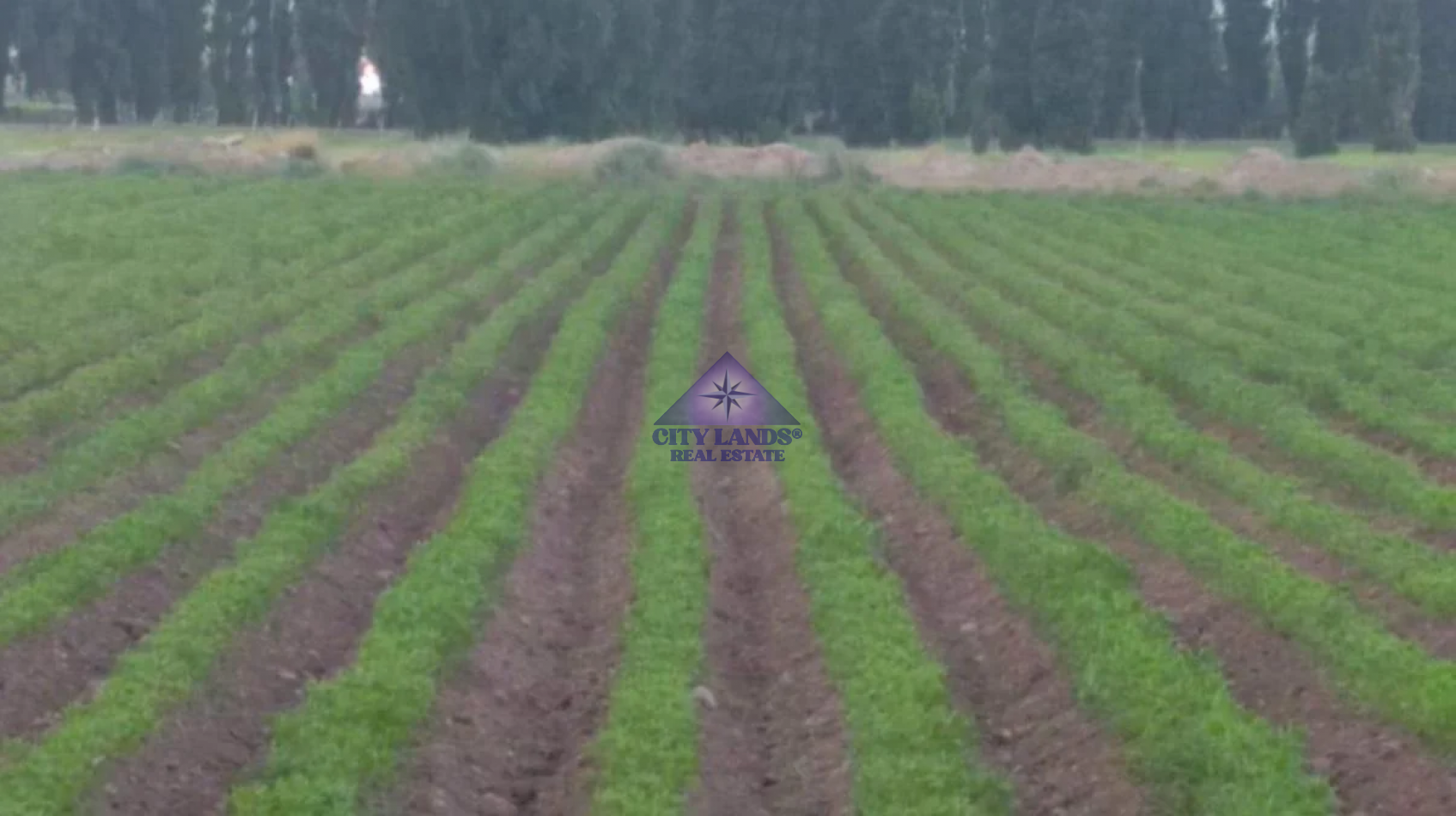 Terreno en venta de 13.600 m2 en Uspallata, Las Heras, Mendoza