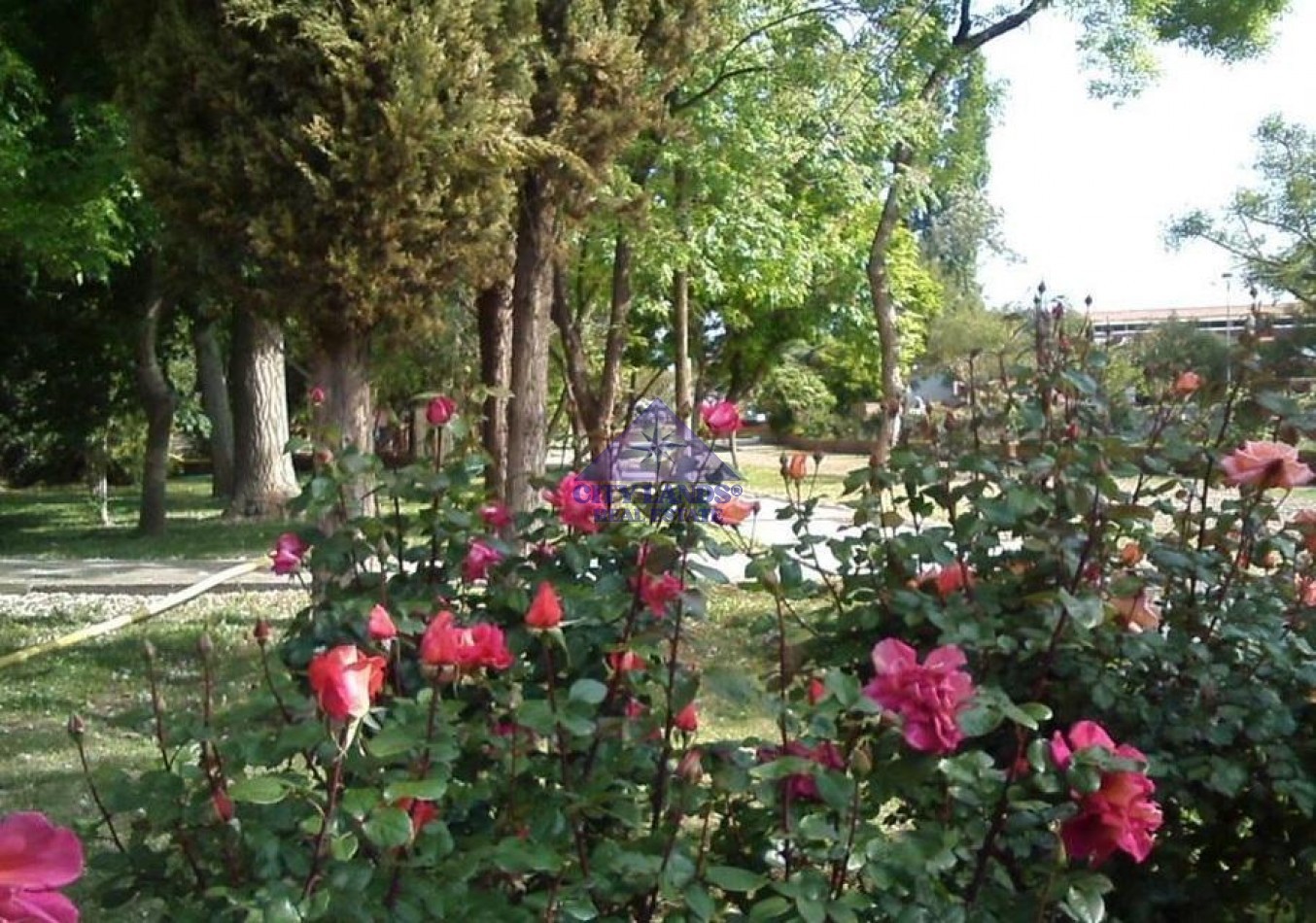 Lotes en venta en Club de Campo Maipu, Mendoza