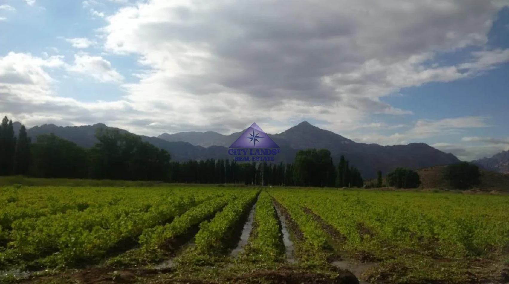 Terreno en venta de 13.600 m2 en Uspallata, Las Heras, Mendoza