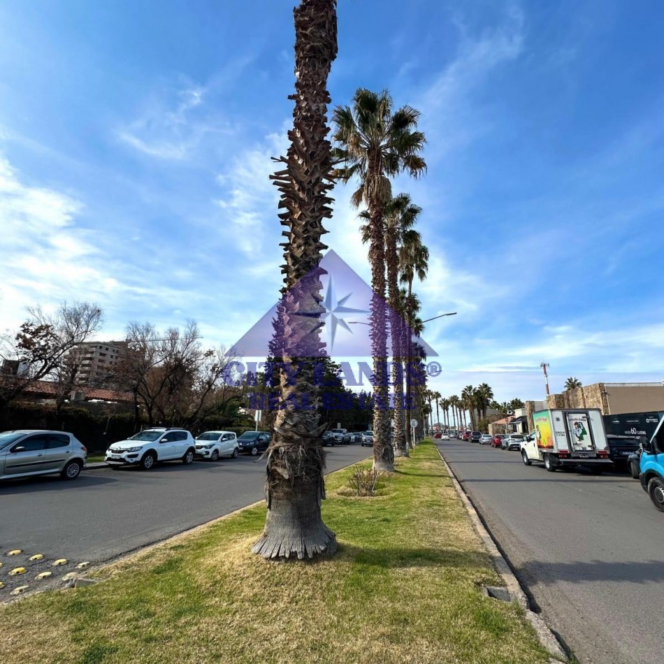 Lote en venta en Barrio Privado Palmares III, Godoy Cruz