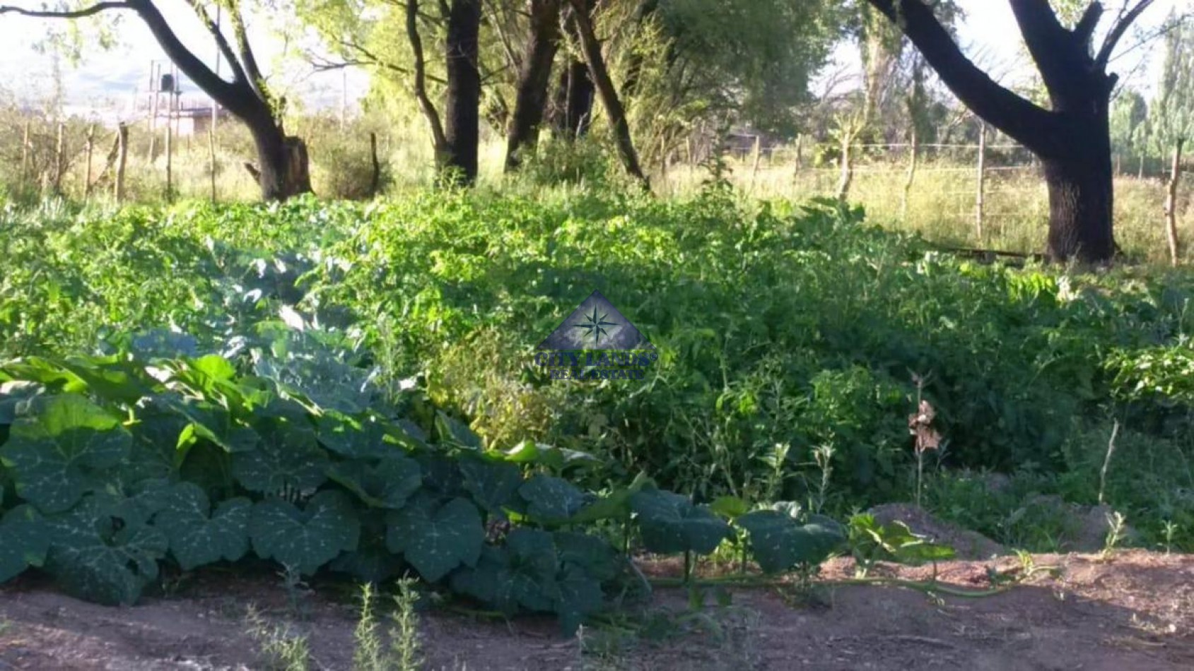 Terreno en venta de 13.600 m2 en Uspallata, Las Heras, Mendoza