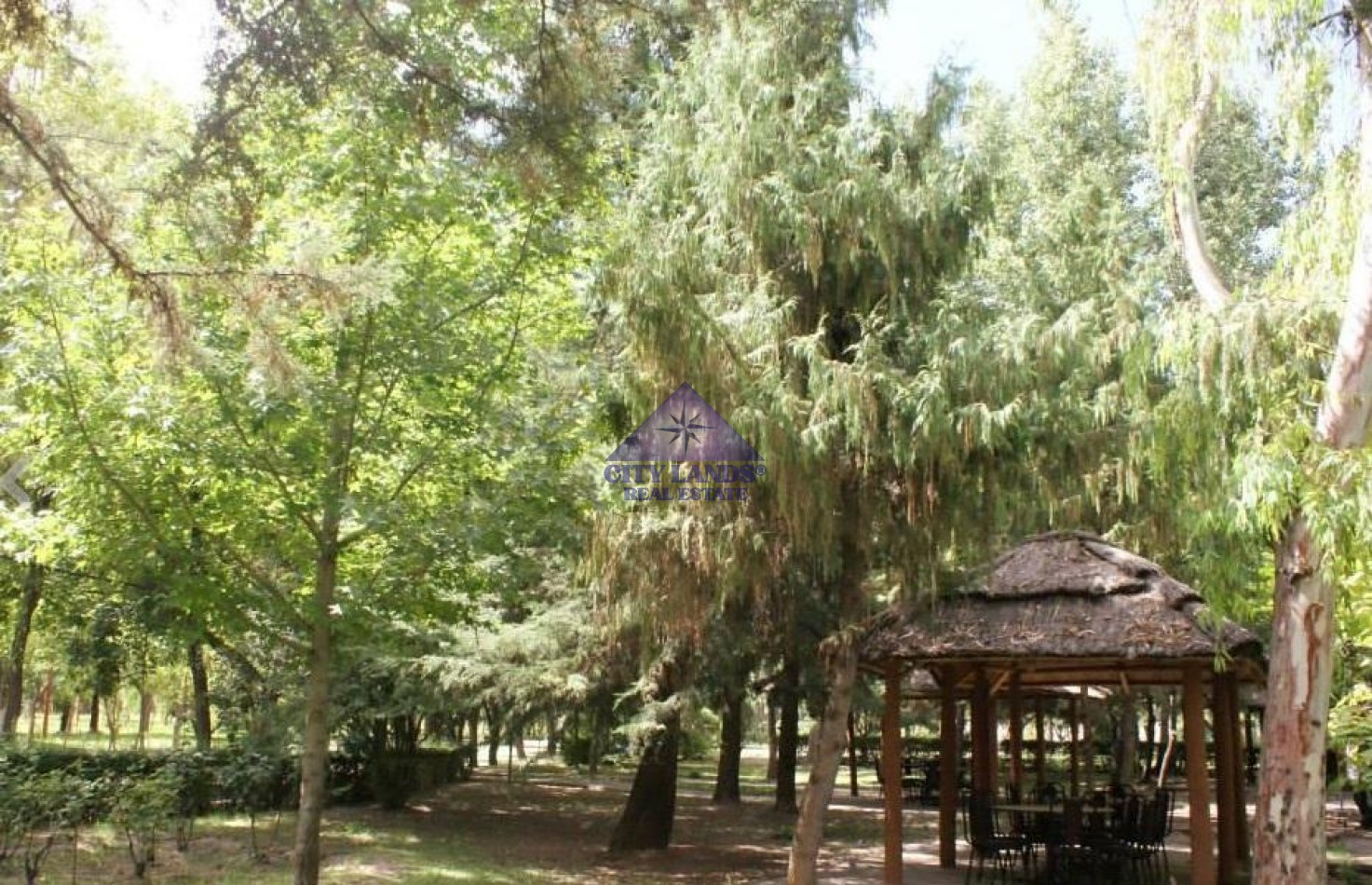 Lotes en venta en Club de Campo Maipu, Mendoza