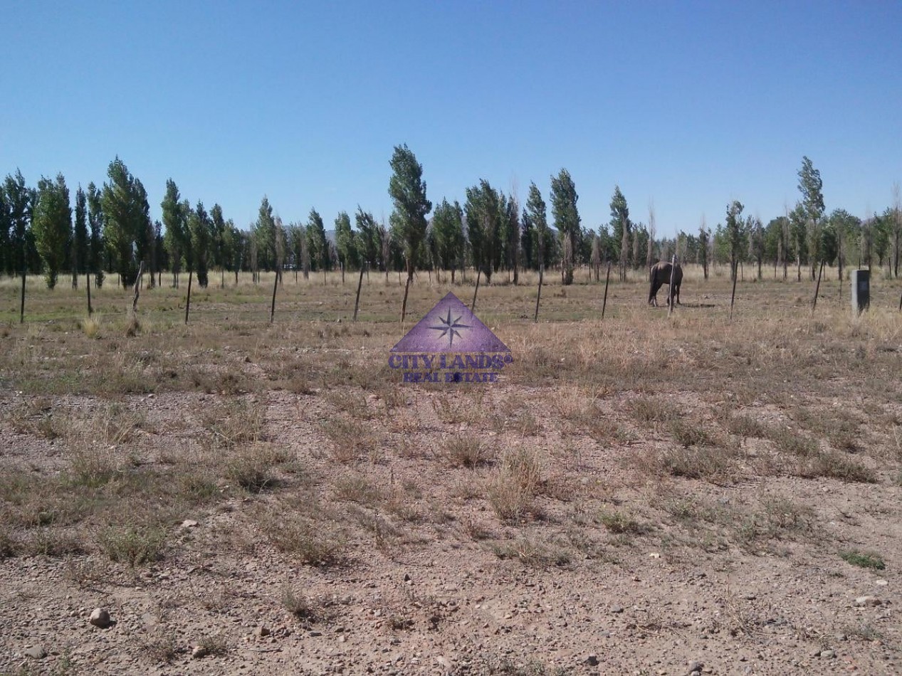 Lote en venta de 4.000 m2 en Uspallata, Las Heras, Mendoza