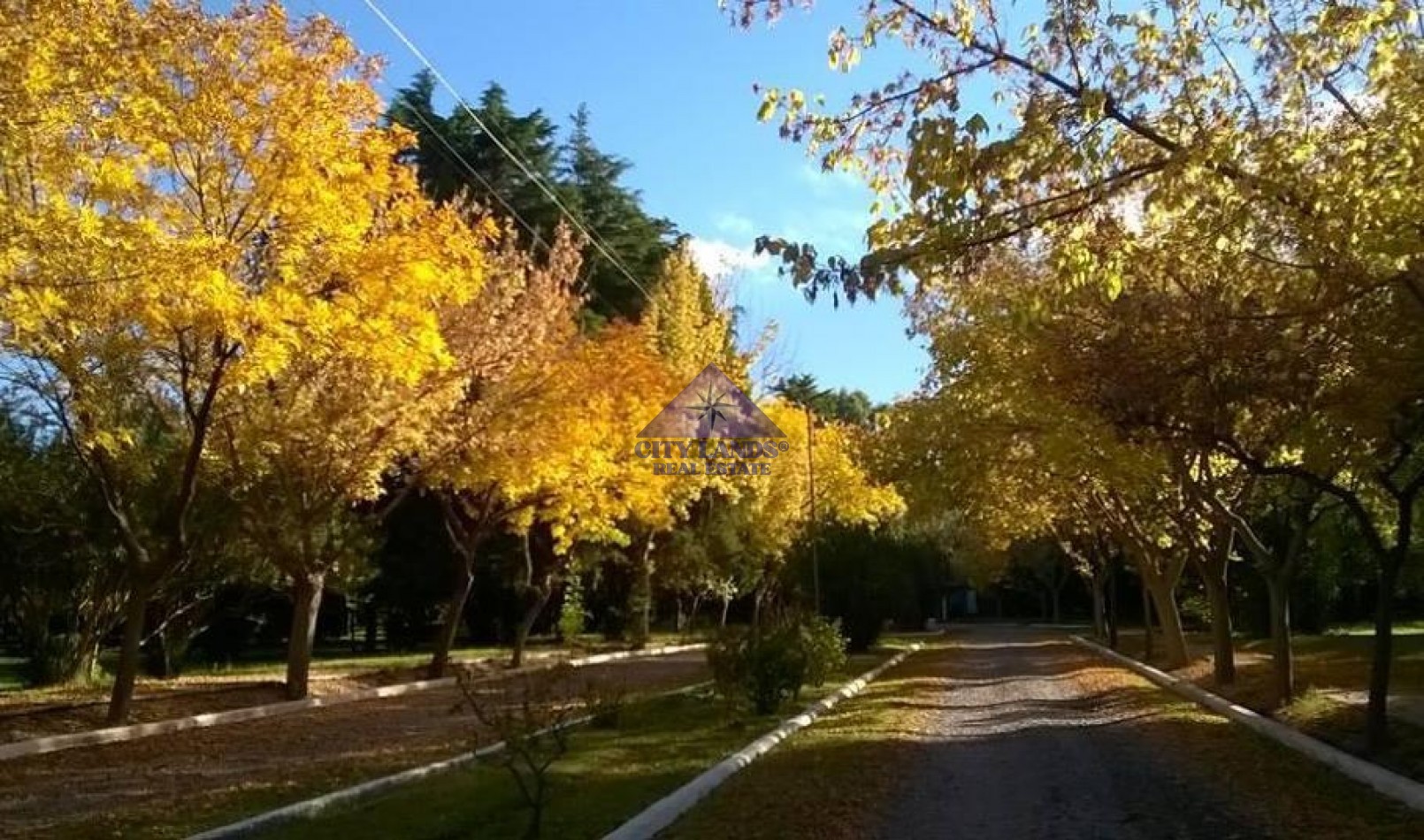 Lotes en venta en Club de Campo Maipu, Mendoza