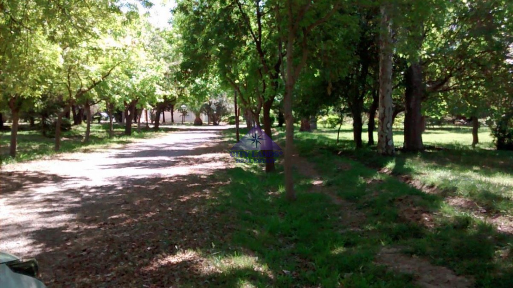 Lotes en venta en Club de Campo Maipu, Mendoza