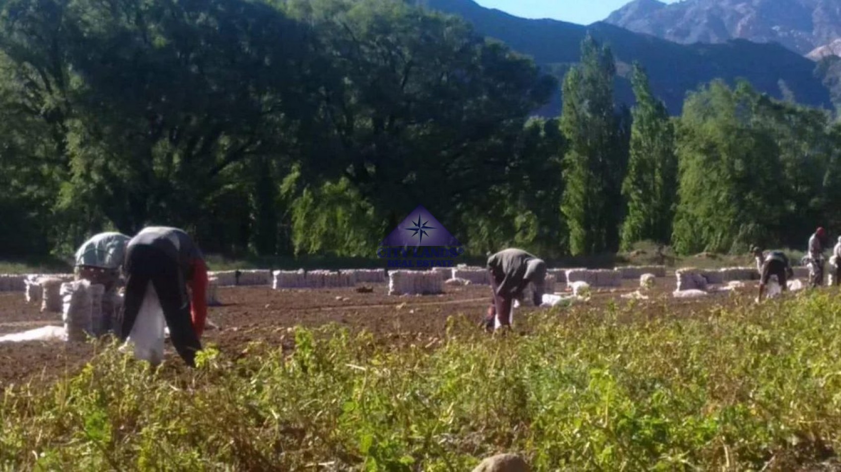 Terreno en venta de 13.600 m2 en Uspallata, Las Heras, Mendoza