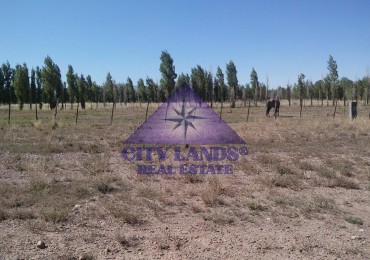 Lote en venta de 4.000 m2 en Uspallata, Las Heras, Mendoza